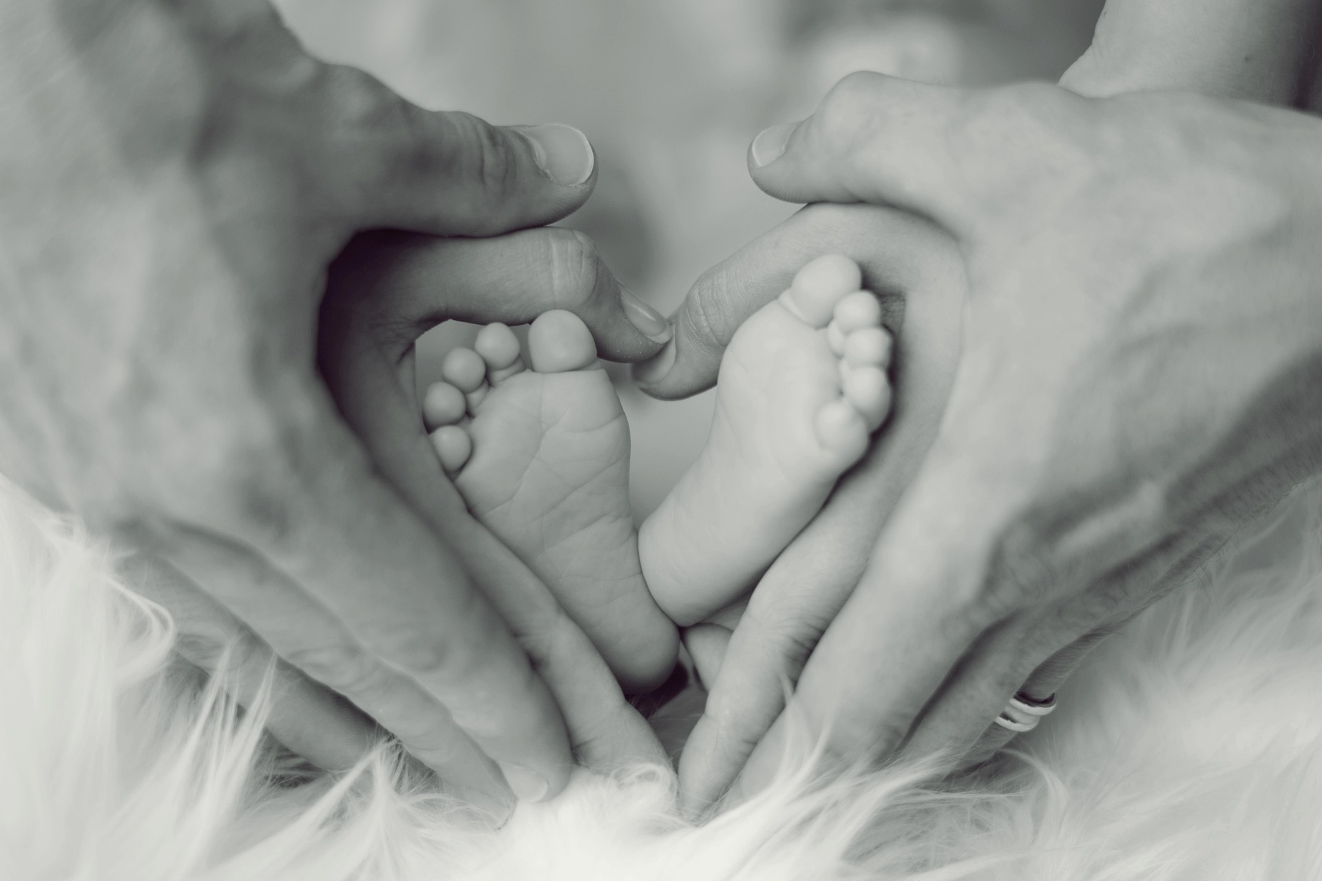 A medical consultation with a specialist certified in NaProTECHNOLOGY, in a warm and professional setting.